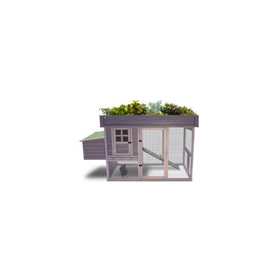 Precision Pet Products Precision Pet Garden Top Chicken Coop, 78 L X 32 W X 47 H