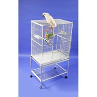 A&E CAGE CO 32-Inch by 21-Inch Flight Cage and Stand, Platinum