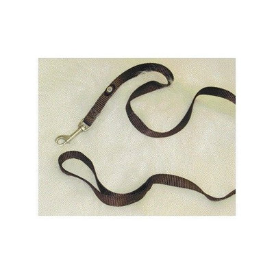 Hamilton Nylon Lead with Swivel Snap in Brown Size: 48