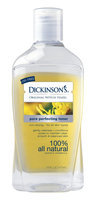 Dickinson’s Original Witch Hazel Pore Perfecting Toner