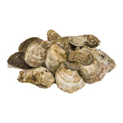 Chincoteague Shellfish Farms Wild Oysters East Coast - 12 CT