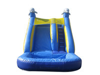 Jumporange Dolphin Xtreme Wet/Dry Commercial Grade Inflatable Water Slide