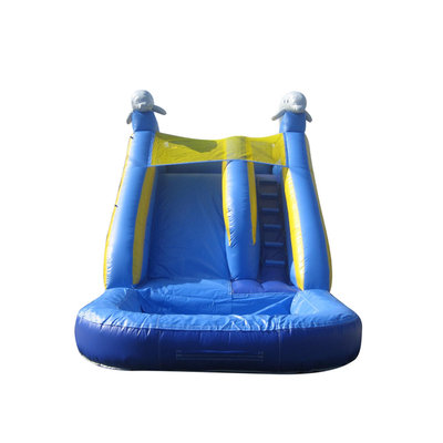 Jumporange Dolphin Xtreme Wet/Dry Commercial Grade Inflatable Water Slide