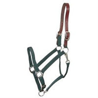 Choice Brands Gatsby Breakaway Halter Dark Green Horse