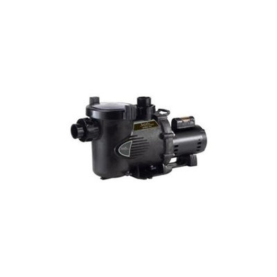 Zodiac SHPM2. 0-2 2Hp 2Sp Stealth Pump