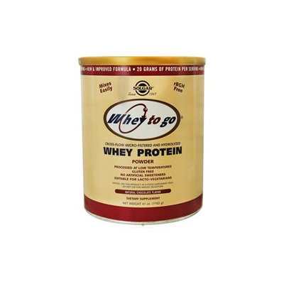 Solgar Whey To Go Protein Powder - Chocolate Cocoa Bean
