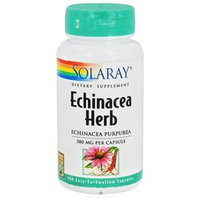 Solaray - Echinacea Herb Echinacea Purpurea 380 mg. - 100 Capsules