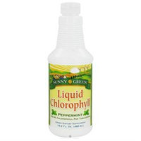 Solaray Liquid Mint Chlorophyll - 16 Fluid Ounces Liquid - Other Green / Super Foods