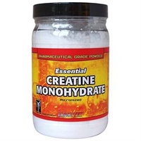 Iron Tek - Essential Creatine Monohydrate Powder - 1.1 lbs.