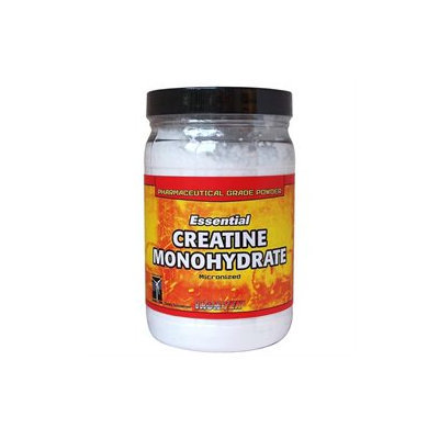 Iron Tek - Essential Creatine Monohydrate Powder - 1.1 lbs.