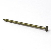 Grip-Rite 1-lb 11-Gauge 2.875-in Vinyl-Coated Smooth Sinker Nails 10CTDSKR1