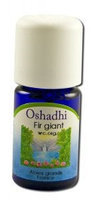 Oshadhi - Essential Oil Singles, Fir, Giant 5 mL