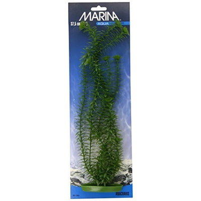 Hagen Marina Aquascaper Anacharis Plant, 15-Inch