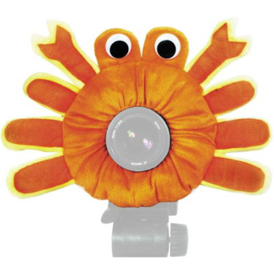 Camera Creatures Captivating Crab Portrait Posing Prop