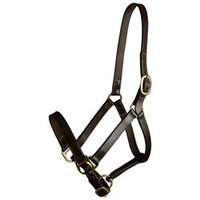 Choice Brands Stable Halter Suckling - 203-1
