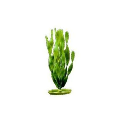 RC Hagen PP814 Marina Jungle Vallisneria 8 in. decorative plastic plant