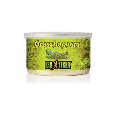 RC Hagen PT1950 Exo Terra Grasshoppers, 1.2 oz