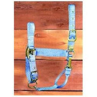 Hamilton Halter Company - Adjustable Chin Halter With Snap- Berry Small - 1DAS SMBY