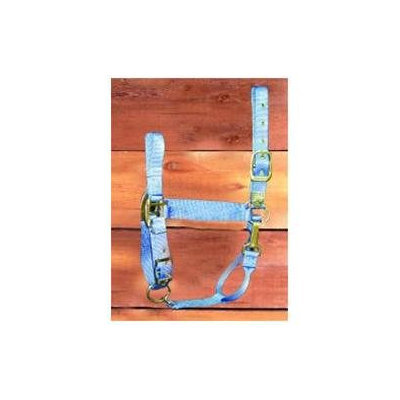 Hamilton Halter Company - Adjustable Chin Halter With Snap- Berry Small - 1DAS SMBY