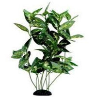 RC Hagen PP192 Marina Houttoynia Cordata 12 in. silk decorative plant
