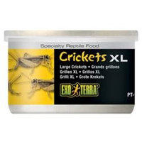RC Hagen PT1962 Exo Terra Crickets, Large Size, 1.2 oz