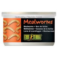 RC Hagen PT1958 Exo Terra Meal Worms, 1.2 oz