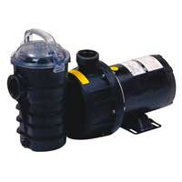 Rainbow Plastics Rainbow Lifeguard self prime pump 3600