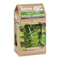 FarmedHere Local Petite Salad Greens Seasonal Mix