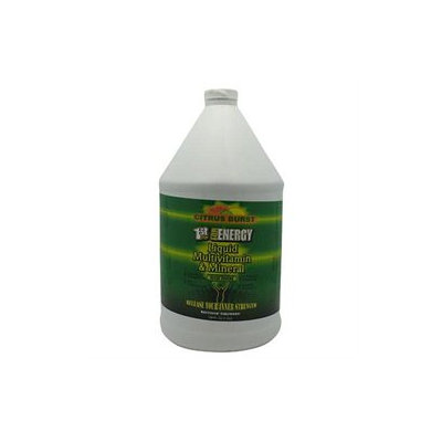 High Performance Fitness 3610008 1st Step for Energy Vitamins and Minerals Citrus Burst 1 Gallon