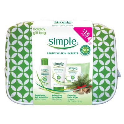 Simple Holiday Gift Bag, 1 set