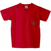 NCAA Big Ten - Vneck Scrub Top
