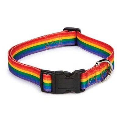 Petedge Casual Canine Puppy Pride Dog Collar 10 to 16in