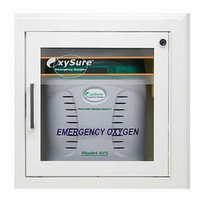 Oxysure Systems Surface Mounted Wall Box for Model 615 Emergency Oxygen System