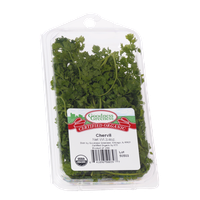 Goodness Greeness Chervil Herbs - Organic