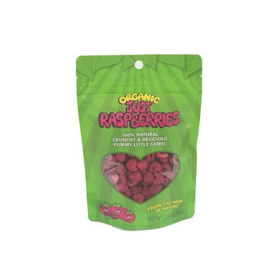 Just Tomatoes, Etc Just Tomatoes Organic Just Raspberries, 1.5 Ounce Pouch (Pack of 4)