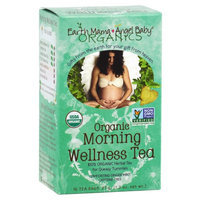 Earth Mama Angel Baby Organic Herbal Tea for Queasy Tummies - 1.3 oz