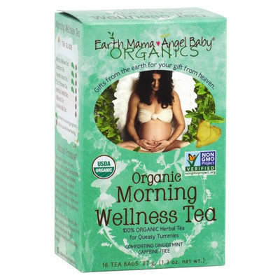 Earth Mama Angel Baby Organic Herbal Tea for Queasy Tummies - 1.3 oz