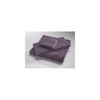 Home Source 10102WAV75 100 Percent Cotton Wash Cloth - Eggplant