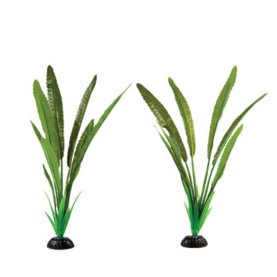 Top Fin Silk Plant Variety Pack