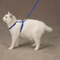 Savvy Tabby Nylon Cat Lead