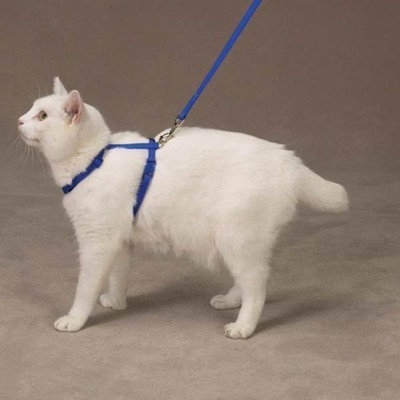 Savvy Tabby Nylon Cat Lead