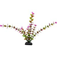 Petco Purple & Green Midground Aquarium Plant
