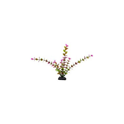Petco Purple & Green Midground Aquarium Plant