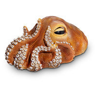 Petco Bubbling Kraken Aerating Aquatic Ornament, 9