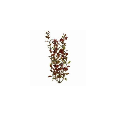 United Pet Group Rotala Aquarium Plant, 9