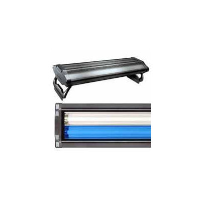 Wavepoint Technology, Inc. Wave Point 48W 24