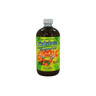 Nature's Life - Superabsorbeze Calcium Magnesium Liquid Fresh Orange - 16 oz.