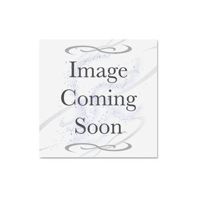 Kurly Kate Stainless Steel Scrubber