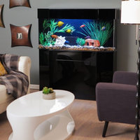 Clear-for-life Acrylic Flat-Back Hexagon Aquarium Stand