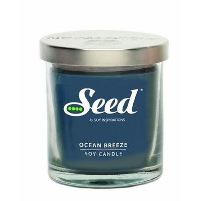 Soy Basics Seeds Soy Basics Seed Soy Candle, Green Apple Orchard, 4.5-Ounce (Pack of 3)